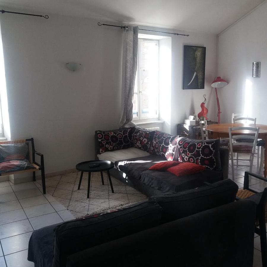 Appart Lumineux Carcassonne Centre Ville Ngoại thất bức ảnh